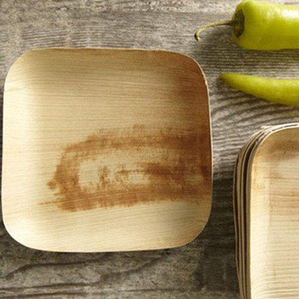 Disposable Plates Biodegradable: The Eco-Conscious Choice - VerTerra  Dinnerware